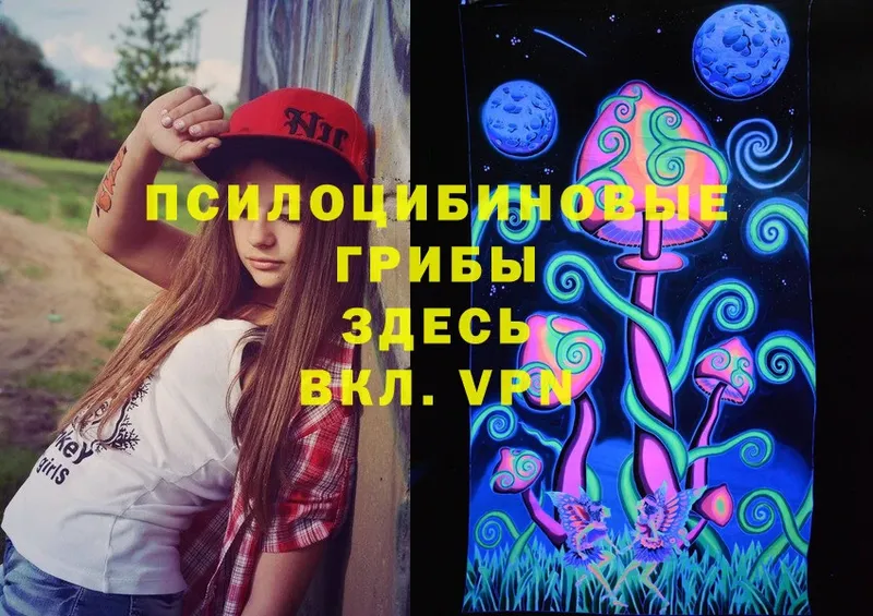 mega   что такое   Грязовец  Галлюциногенные грибы Psilocybe 